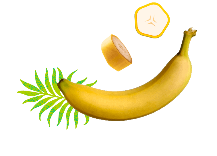Banana – Our Products – Kapi Growers
