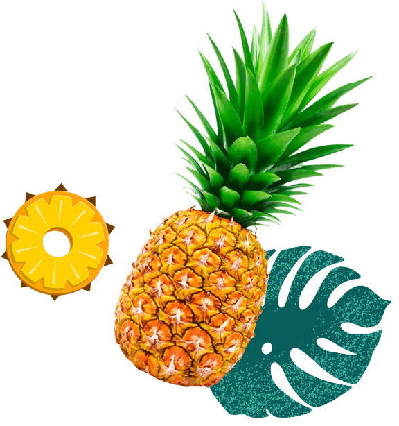 Pineapple – Our Products – Kapi Growers
